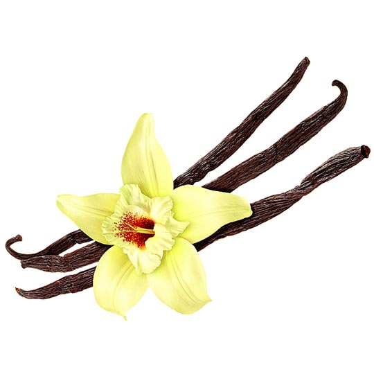 Alpine Vanilla
